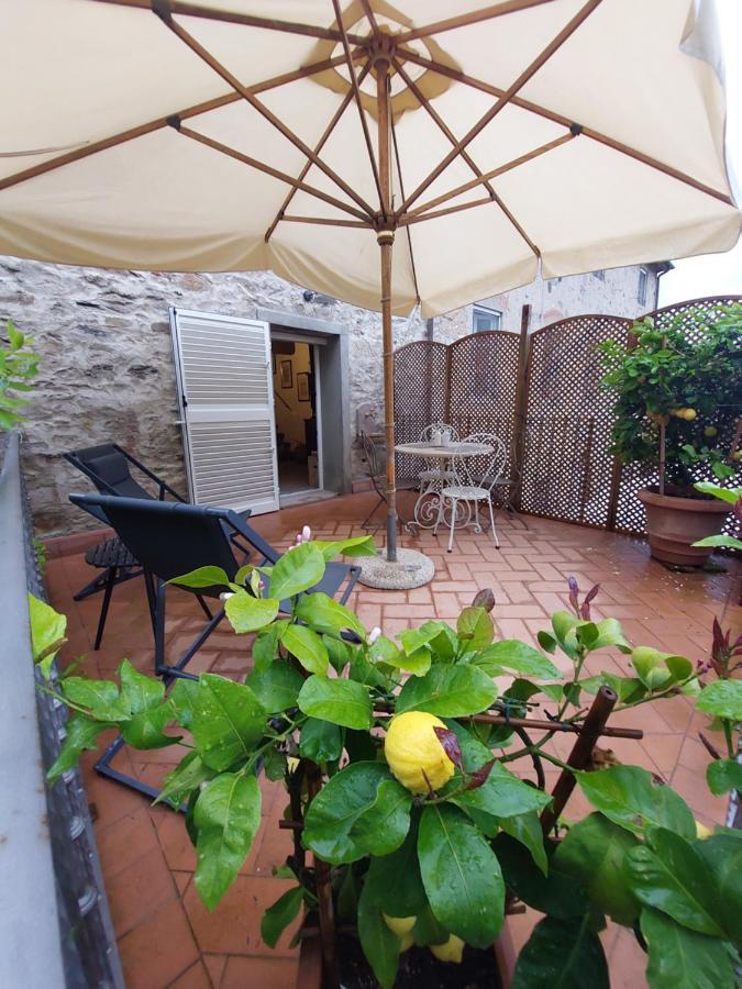 Casina Laura Villa Капанари Екстериор снимка